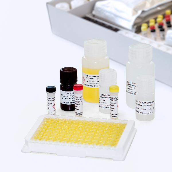 Virus SARS-CoV-2