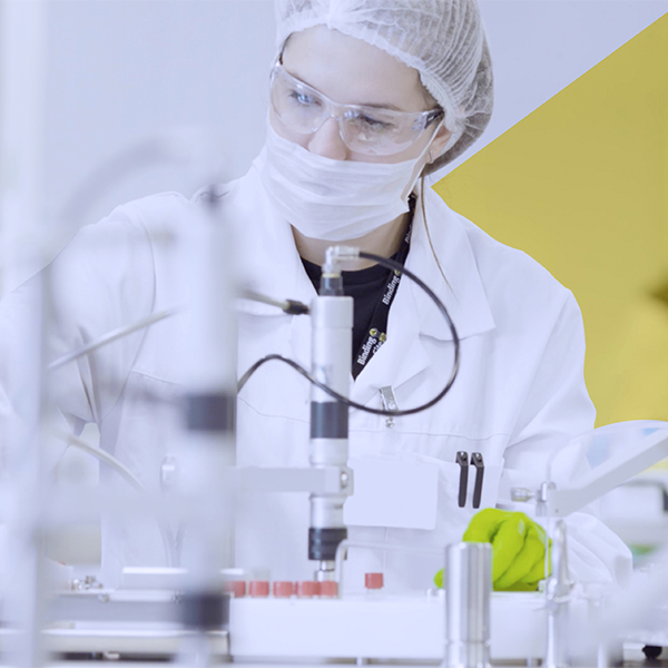 La storia di Binding Site 