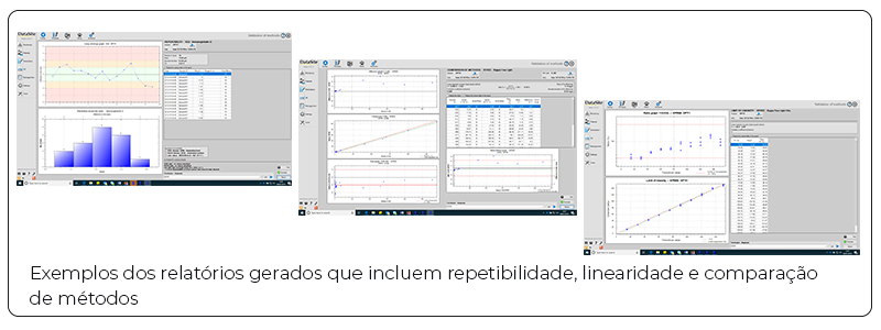 portuguese brazilian datasite screenshot