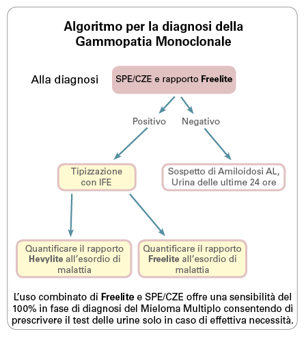 Algorithm for monoclonal gammopathy diagnosis