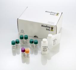 Freelite SPAPLUS kit
