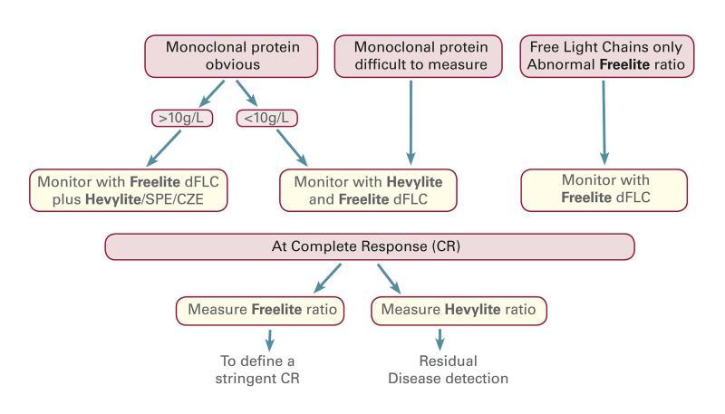 Use hevylite to monitor alongside Freelite