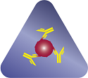 Smart Solution - Immune Status