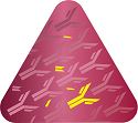 Smart Solution - Oncology Assays