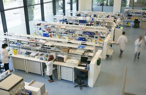 Lab Image