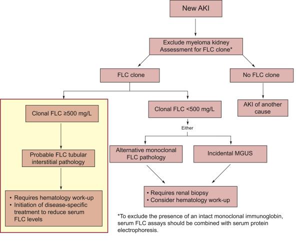 Acute Kidney Algorithm