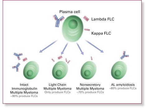 Gammapatía monoclonal