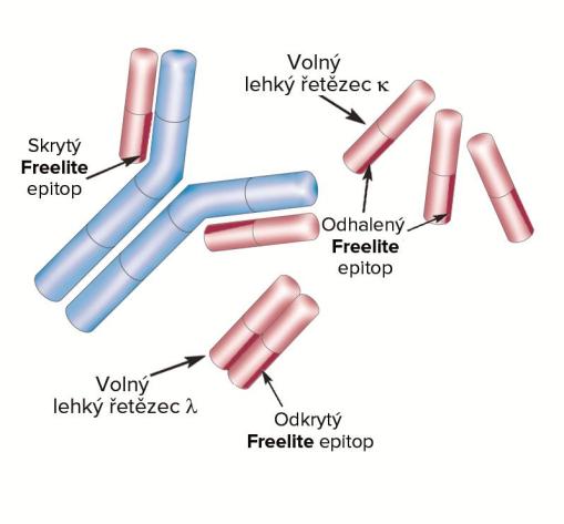 Freelite structure