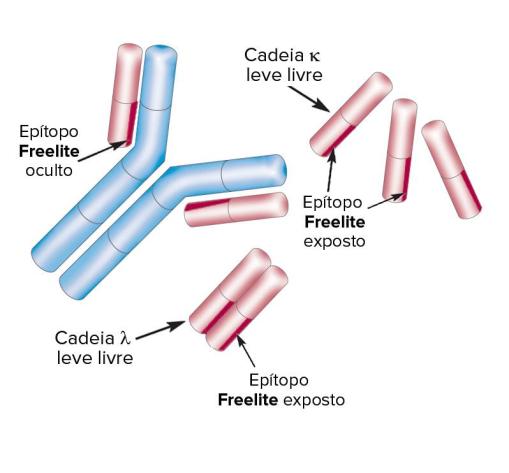 Freelite Structure