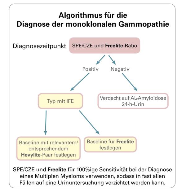 Algorithm for Monoclonal Gammopathy Diagnosis