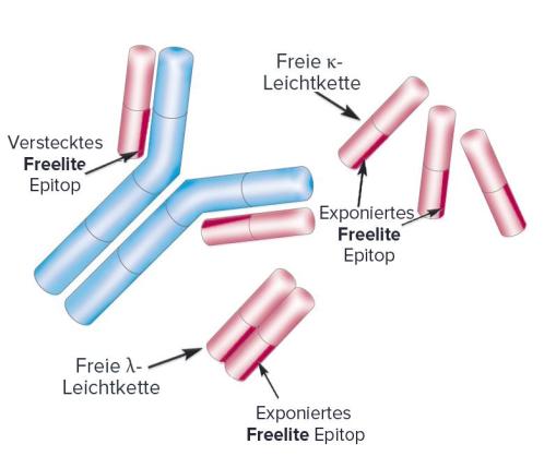 Freelite Structure