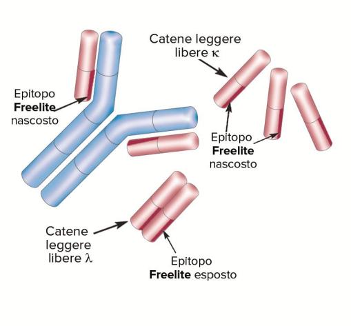 Freelite structure