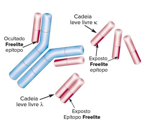 Freelite Structure