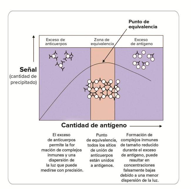 Antigen Excess