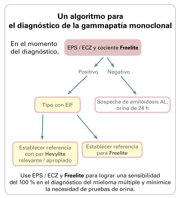 Algorithm for Monoclonal Gammopathy Diagnosis