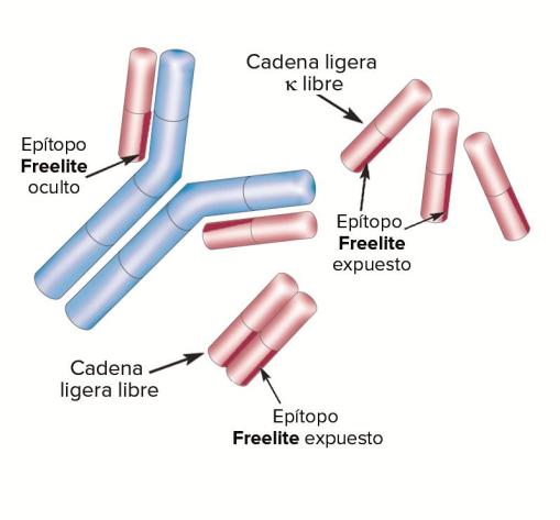 Freelite Structure
